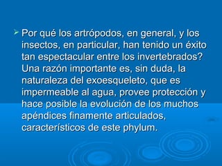  Por qué los artrópodos, en general, y los
 insectos, en particular, han tenido un éxito
 tan espectacular entre los invertebrados?
 Una razón importante es, sin duda, la
 naturaleza del exoesqueleto, que es
 impermeable al agua, provee protección y
 hace posible la evolución de los muchos
 apéndices finamente articulados,
 característicos de este phylum.
 