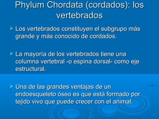 Phylum Chordata (cordados): los
             vertebrados
   Los vertebrados constituyen el subgrupo más
    grande y más conocido de cordados.

   La mayoría de los vertebrados tiene una
    columna vertebral -o espina dorsal- como eje
    estructural.

   Una de las grandes ventajas de un
    endoesqueleto óseo es que está formado por
    tejido vivo que puede crecer con el animal.
 