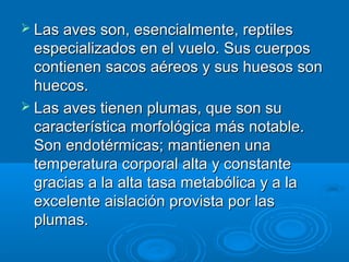  Las aves son, esencialmente, reptiles
  especializados en el vuelo. Sus cuerpos
  contienen sacos aéreos y sus huesos son
  huecos.
 Las aves tienen plumas, que son su
  característica morfológica más notable.
  Son endotérmicas; mantienen una
  temperatura corporal alta y constante
  gracias a la alta tasa metabólica y a la
  excelente aislación provista por las
  plumas.
 
