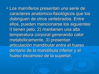  Los mamíferos presentan una serie de
 caracteres anatómico-fisiológicos que los
 distinguen de otros vertebrados. Entre
 ellos, pueden mencionarse los siguientes:
 l) tienen pelo, 2) mantienen una alta
 temperatura corporal generando calor
 metabólicamente, 3) presentan
 articulación mandibular entre el hueso
 dentario de la mandíbula inferior y el
 hueso escamoso de la superior,
 