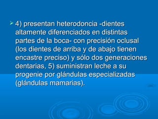  4) presentan heterodoncia -dientes
 altamente diferenciados en distintas
 partes de la boca- con precisión oclusal
 (los dientes de arriba y de abajo tienen
 encastre preciso) y sólo dos generaciones
 dentarias, 5) suministran leche a su
 progenie por glándulas especializadas
 (glándulas mamarias).
 
