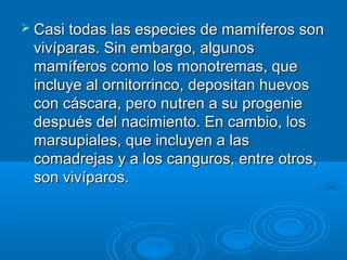  Casi todas las especies de mamíferos son
 vivíparas. Sin embargo, algunos
 mamíferos como los monotremas, que
 incluye al ornitorrinco, depositan huevos
 con cáscara, pero nutren a su progenie
 después del nacimiento. En cambio, los
 marsupiales, que incluyen a las
 comadrejas y a los canguros, entre otros,
 son vivíparos.
 