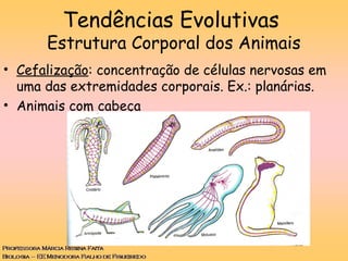 Tendências Evolutivas
Estrutura Corporal dos Animais
• Cefalização: concentração de células nervosas em
uma das extremidades corporais. Ex.: planárias.
• Animais com cabeça
 