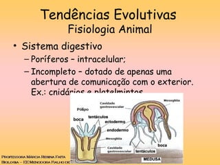 Tendências Evolutivas
Fisiologia Animal
• Sistema digestivo
– Poríferos – intracelular;
– Incompleto – dotado de apenas uma
abertura de comunicação com o exterior.
Ex.: cnidários e platelmintos
 