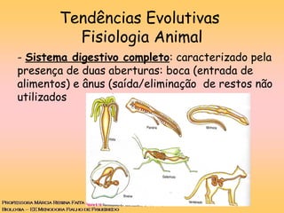 Tendências Evolutivas
Fisiologia Animal
- Sistema digestivo completo: caracterizado pela
presença de duas aberturas: boca (entrada de
alimentos) e ânus (saída/eliminação de restos não
utilizados
 