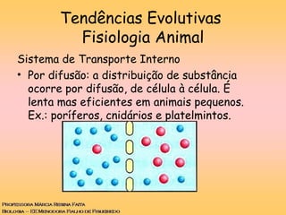 Sistema de Transporte Interno
• Por difusão: a distribuição de substância
ocorre por difusão, de célula à célula. É
lenta mas eficientes em animais pequenos.
Ex.: poríferos, cnidários e platelmintos.
Tendências Evolutivas
Fisiologia Animal
 