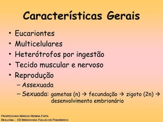 Características Gerais
• Eucariontes
• Multicelulares
• Heterótrofos por ingestão
• Tecido muscular e nervoso
• Reprodução...