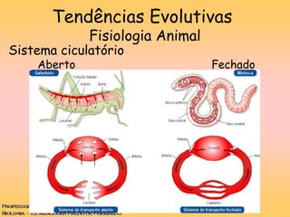 Tendências Evolutivas
Fisiologia Animal
Sistema ciculatório
Aberto Fechado
 