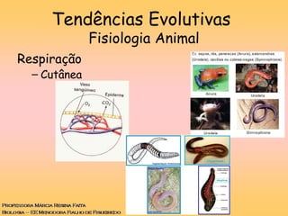 Tendências Evolutivas
Fisiologia Animal
Respiração
– Cutânea
 