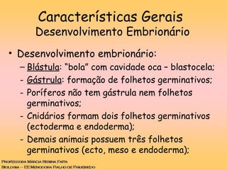 Características Gerais
Desenvolvimento Embrionário
• Desenvolvimento embrionário:
– Blástula: “bola” com cavidade oca – bl...