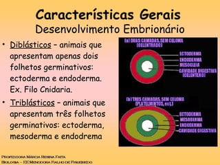 • Diblásticos – animais que
apresentam apenas dois
folhetos germinativos:
ectoderma e endoderma.
Ex. Filo Cnidaria.
• Triblásticos – animais que
apresentam três folhetos
germinativos: ectoderma,
mesoderma e endodrema
Características Gerais
Desenvolvimento Embrionário
 
