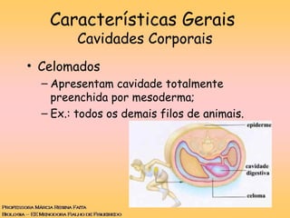 Características Gerais
Cavidades Corporais
• Celomados
– Apresentam cavidade totalmente
preenchida por mesoderma;
– Ex.: todos os demais filos de animais.
 