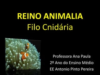 REINO ANIMALIA
Filo Cnidária
Professora Ana Paula
2º Ano do Ensino Médio
EE Antonio Pinto Pereira
 