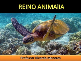 REINO ANIMAlIA 
Professor Ricardo Menezes 
 