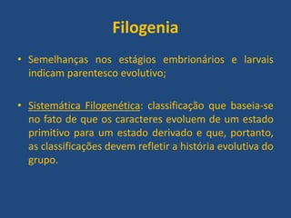 Filogenia
• Semelhanças nos estágios embrionários e larvais
indicam parentesco evolutivo;
• Sistemática Filogenética: classificação que baseia-se
no fato de que os caracteres evoluem de um estado
primitivo para um estado derivado e que, portanto,
as classificações devem refletir a história evolutiva do
grupo.
 