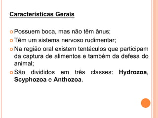 Características Gerais

 Possuem  boca, mas não têm ânus;
 Têm um sistema nervoso rudimentar;

 Na região oral existem tentáculos que participam
  da captura de alimentos e também da defesa do
  animal;
 São divididos em três classes: Hydrozoa,
  Scyphozoa e Anthozoa.
 