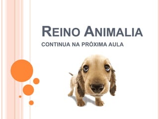 REINO ANIMALIA
CONTINUA NA PRÓXIMA AULA
 