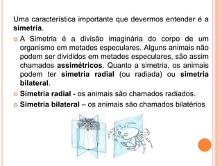 Uma característica importante que devermos entender é a
simetria.
 A Simetria é a divisão imaginária do corpo de um
  organismo em metades especulares. Alguns animais não
  podem ser divididos em metades especulares, são assim
  chamados assimétricos. Quanto a simetria, os animais
  podem ter simetria radial (ou radiada) ou simetria
  bilateral.
 Simetria radial - os animais são chamados radiados.

 Simetria bilateral – os animais são chamados bilatérios
 