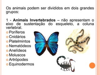 Os animais podem ser divididos em dois grandes
grupos:

1 - Animais Invertebrados – não apresentam o
eixo de sustentação do esqueleto, a coluna
vertebral.
 Poríferos
 Cnidários
 Platelmintos
 Nematódeos
 Anelídeos
 Moluscos
 Artrópodes
 Equinodermos
 