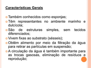 Características Gerais

 Também    conhecidos como esponjas;
 Têm representantes no ambiente marinho e
  dulcícola;
 São    de estruturas simples, sem tecidos
  diferenciados;
 Vivem fixas ao substrato (sésseis);
 Obtêm alimento por meio da filtração da água
  para retirar as partículas em suspensão;
 A circulação da água é também importante para
  as trocas gasosas, eliminação de resíduos e
  reprodução;
 