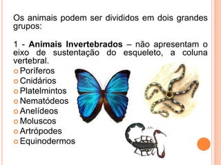 Os animais podem ser divididos em dois grandes
grupos:

1 - Animais Invertebrados – não apresentam o
eixo de sustentação d...