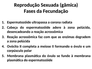 Reprodução Sexuada (gâmica)
Reprodução Sexuada (gâmica)
Fases da Fecundação
Fases da Fecundação
1. Espermatozóide ultrapassa a corona radiata
2. Cabeça do espermatozóide adere à zona pelúcida,
desencadeando a reação acrossômica
3. Reação acrossômica faz com que as enzimas degradem
a zona pelúcida
4. Ovócito II completa a meiose II formando o óvulo e um
corpúsculo polar
5. Membrana plasmática do óvulo se funde à membrana
plasmática do espermatozóide
 