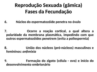 Reprodução Sexuada (gâmica)
Reprodução Sexuada (gâmica)
Fases da Fecundação
Fases da Fecundação
6. Núcleo do espermatozóide penetra no óvulo
7. Ocorre a reação cortical, a qual altera a
polaridade da membrana plasmática, impedindo com que
outros espermatozóides penetrem (evita a poliespermia)
8. União dos núcleos (pró-núcleos) masculinos e
femininos: anfimixia
9. Formação do zigoto (célula - ovo) e início do
desenvolvimento embrionário
 