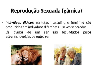 Reprodução Sexuada (gâmica)
Reprodução Sexuada (gâmica)
• Indivíduos dióicos: gametas masculino e feminino são
produzidos em indivíduos diferentes – sexos separados.
Os óvulos de um ser são fecundados pelos
espermatozóides de outro ser.
 