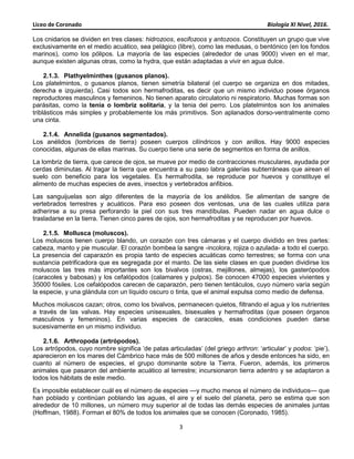 Liceo de Coronado Biología XI Nivel, 2016.
3
Los cnidarios se dividen en tres clases: hidrozoos, escifozoos y antozoos. Constituyen un grupo que vive
exclusivamente en el medio acuático, sea pelágico (libre), como las medusas, o bentónico (en los fondos
marinos), como los pólipos. La mayoría de las especies (alrededor de unas 9000) viven en el mar,
aunque existen algunas otras, como la hydra, que están adaptadas a vivir en agua dulce.
2.1.3. Plathyelminthes (gusanos planos).
Los platelmintos, o gusanos planos, tienen simetría bilateral (el cuerpo se organiza en dos mitades,
derecha e izquierda). Casi todos son hermafroditas, es decir que un mismo individuo posee órganos
reproductores masculinos y femeninos. No tienen aparato circulatorio ni respiratorio. Muchas formas son
parásitas, como la tenia o lombriz solitaria, y la tenia del perro. Los platelmintos son los animales
triblásticos más simples y probablemente los más primitivos. Son aplanados dorso-ventralmente como
una cinta.
2.1.4. Annelida (gusanos segmentados).
Los anélidos (lombrices de tierra) poseen cuerpos cilíndricos y con anillos. Hay 9000 especies
conocidas, algunas de ellas marinas. Su cuerpo tiene una serie de segmentos en forma de anillos.
La lombriz de tierra, que carece de ojos, se mueve por medio de contracciones musculares, ayudada por
cerdas diminutas. Al tragar la tierra que encuentra a su paso labra galerías subterráneas que airean el
suelo con beneficio para los vegetales. Es hermafrodita, se reproduce por huevos y constituye el
alimento de muchas especies de aves, insectos y vertebrados anfibios.
Las sanguijuelas son algo diferentes de la mayoría de los anélidos. Se alimentan de sangre de
vertebrados terrestres y acuáticos. Para eso poseen dos ventosas, una de las cuales utiliza para
adherirse a su presa perforando la piel con sus tres mandíbulas. Pueden nadar en agua dulce o
trasladarse en la tierra. Tienen cinco pares de ojos, son hermafroditas y se reproducen por huevos.
2.1.5. Mollusca (moluscos).
Los moluscos tienen cuerpo blando, un corazón con tres cámaras y el cuerpo dividido en tres partes:
cabeza, manto y pie muscular. El corazón bombea la sangre -incolora, rojiza o azulada- a todo el cuerpo.
La presencia del caparazón es propia tanto de especies acuáticas como terrestres; se forma con una
sustancia petrificadora que es segregada por el manto. De las siete clases en que pueden dividirse los
moluscos las tres más importantes son los bivalvos (ostras, mejillones, almejas), los gasterópodos
(caracoles y babosas) y los cefalópodos (calamares y pulpos). Se conocen 47000 especies vivientes y
35000 fósiles. Los cefalópodos carecen de caparazón, pero tienen tentáculos, cuyo número varía según
la especie, y una glándula con un líquido oscuro o tinta, que el animal expulsa como medio de defensa.
Muchos moluscos cazan; otros, como los bivalvos, permanecen quietos, filtrando el agua y los nutrientes
a través de las valvas. Hay especies unisexuales, bisexuales y hermafroditas (que poseen órganos
masculinos y femeninos). En varias especies de caracoles, esas condiciones pueden darse
sucesivamente en un mismo individuo.
2.1.6. Arthropoda (artrópodos).
Los artrópodos, cuyo nombre significa ‘de patas articuladas’ (del griego arthron: ‘articular’ y podos: ‘pie’),
aparecieron en los mares del Cámbrico hace más de 500 millones de años y desde entonces ha sido, en
cuanto al número de especies, el grupo dominante sobre la Tierra. Fueron, además, los primeros
animales que pasaron del ambiente acuático al terrestre; incursionaron tierra adentro y se adaptaron a
todos los hábitats de este medio.
Es imposible establecer cuál es el número de especies —y mucho menos el número de individuos— que
han poblado y continúan poblando las aguas, el aire y el suelo del planeta, pero se estima que son
alrededor de 10 millones, un número muy superior al de todas las demás especies de animales juntas
(Hoffman, 1988). Forman el 80% de todos los animales que se conocen (Coronado, 1985).
 