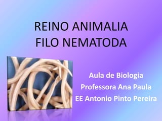 REINO ANIMALIA
FILO NEMATODA
Aula de Biologia
Professora Ana Paula
EE Antonio Pinto Pereira
 