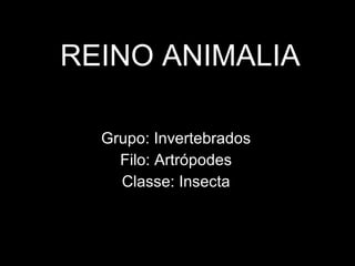 REINO ANIMALIA Grupo: Invertebrados Filo: Artrópodes Classe: Insecta 