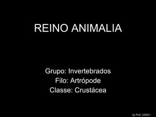 REINO ANIMALIA Grupo: Invertebrados Filo: Artrópode Classe: Crustácea by Prof. LENO / 2011 