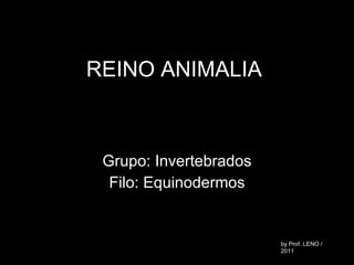 REINO ANIMALIA Grupo: Invertebrados Filo: Equinodermos by Prof. LENO / 2011 