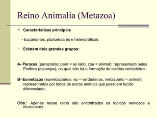 Reino Animalia (Metazoa)
 Características principais
- Eucariontes, pluricelulares e heterotróficos;
 Existem dois grandes grupos:
A- Parazoa (parazoário; pará = ao lado, zoa = animal): representado pelos
Porifera (esponjas), no qual não há a formação de tecidos verdadeiros;
B- Eumetazoa (eumetazoários; eu = verdadeiros, metazoário = animal):
representados por todos os outros animais que possuem tecido
diferenciado.
Obs.: Apenas nesse reino são encontrados os tecidos nervosos e
musculares.
 