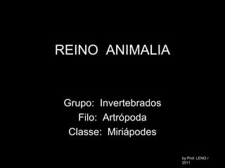 REINO  ANIMALIA Grupo:  Invertebrados Filo:  Artrópoda Classe:  Miriápodes by Prof. LENO / 2011 