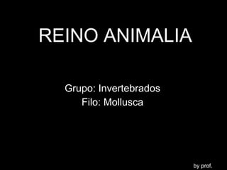 REINO ANIMALIA Grupo: Invertebrados Filo: Mollusca by prof. LENO 