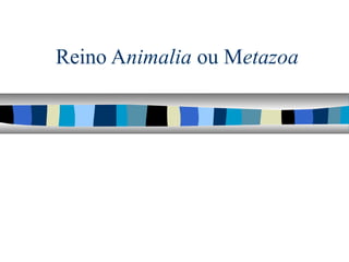 Reino Animalia ou Metazoa
 