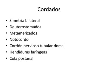 Cordados
•   Simetría bilateral
•   Deuterostomados
•   Metamerizados
•   Notocordo
•   Cordón nervioso tubular dorsal
•   Hendiduras faríngeas
•   Cola postanal
 