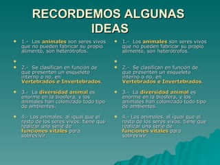 RECORDEMOS ALGUNAS  IDEAS 1.-  Los  animales  son seres vivos que no pueden fabricar su propio alimento, son heterótrofos.      2.-  Se clasifican en función de que presenten un esqueleto interno o no, en  Vertebrados e Invertebrados .   3.-  La  diversidad animal  es enorme en la biosfera, y los animales han colonizado todo tipo de ambientes.    4.- Los animales, al igual que el resto de los seres vivos, tiene que realizar una serie de  funciones vitales  para sobrevivir.    1.-  Los  animales  son seres vivos que no pueden fabricar su propio alimento, son heterótrofos.      2.-  Se clasifican en función de que presenten un esqueleto interno o no, en  Vertebrados e Invertebrados .   3.-  La  diversidad animal  es enorme en la biosfera, y los animales han colonizado todo tipo de ambientes.    4.- Los animales, al igual que el resto de los seres vivos, tiene que realizar una serie de  funciones vitales  para sobrevivir.    