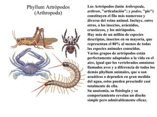 Phyllum Artrópodos (Arthropoda) Los Artrópodos (latín  Arthropoda ,  arthron , &quot;articulación&quot;; y  podos , &quot;pie&quot;) constituyen el filo más numeroso y diverso del reino animal. Incluye, entre otros, a los insectos, arácnidos, crustáceos, y los miriápodos. Hay más de un millón de especies descriptas, insectos en su mayoría, que representan el 80% al menos de todas las especies animales conocidas.  Varios grupos de artrópodos están perfectamente adaptados a la vida en el aire, igual que los vertebrados amniotas llamados aves y a diferencia de todos los demás phyllum animales, que o son acuáticos o dependen en gran medida del agua, estos pueden prescindir casi totalmente de ella.  Su anatomía, su fisiología y su comportamiento revelan un diseño simple pero admirablemente eficaz. 