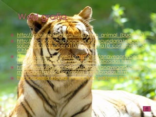 Reino animals PPT Descarga Gratuita