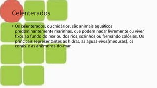 Celenterados
• Os celenterados, ou cnidários, são animais aquáticos
predominantemente marinhas, que podem nadar livremente ou viver
fixos no fundo do mar ou dos rios, sozinhos ou formando colônias. Os
principais representantes as hidras, as águas-vivas(medusas), os
corais, e as anêmonas-do-mar.
 