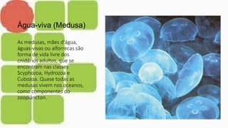 Água-viva (Medusa)
As medusas, mães d'água,
águas-vivas ou alforrecas são
forma de vida livre dos
cnidários adultos, que se
encontram nas classes
Scyphozoa, Hydrozoa e
Cubozoa. Quase todas as
medusas vivem nos oceanos,
como componentes do
zooplâncton.
 