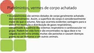 Platelmintos, vermes de corpo achatado
• Os platelmintos são vermes dotados de corpo geralmente achatado
dorsiventralmente. Assim, a superfície do corpo é consideravelmente
maior do que o volume, fato que acarreta evidentes vantagens para o
animal na aquisição e distribuição de gases respiratórios,
compensado a ausência dos sistemas respiratório e cardiovascular no
grupo. Podem ter vida livre e são encontrados na água doce e na
salgada ou em terra úmida; muitas são parasitas e causam doenças
graves no ser humanos e em outros animais.
 