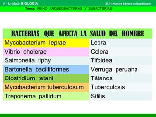 V - Unidad : BIOLOGÍA
Tema: REINO ARQUEOBACTERIAS Y EUBACTERIAS
I.E.P «Nuestra Señora de Guadalupe»
BACTERIAS QUE AFECTA LA SALUD DEL HOMBRE
Mycobacterium leprae Lepra
Vibrio cholerae Colera
Salmonella tiphy Tifoidea
Bartonella bacilliformes Verruga peruana
Clostridium tetani Tétanos
Mycobacterium tuberculosum Tuberculosis
Treponema pallidum Sífilis
 