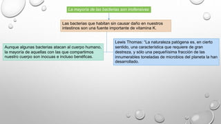 La mayoría de las bacterias son inofensivas 
Las bacterias que habitan sin causar daño en nuestros 
intestinos son una fuente importante de vitamina K. 
Aunque algunas bacterias atacan al cuerpo humano, 
la mayoría de aquellas con las que compartimos 
nuestro cuerpo son inocuas e incluso benéficas. 
Lewis Thomas: “La naturaleza patógena es, en cierto 
sentido, una característica que requiere de gran 
destreza, y sólo una pequeñísima fracción de las 
innumerables toneladas de microbios del planeta la han 
desarrollado. 
 