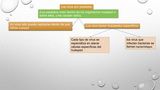Los virus son parásitos 
(Los parásitos viven dentro de los organismos huésped o 
sobre ellos, y les causan daño). 
Un virus sólo puede replicarse dentro de una 
célula huésped. 
Los virus tienen huéspedes específicos 
Cada tipo de virus se 
especializa en atacar 
células específicas del 
huésped 
los virus que 
infectan bacterias se 
llaman bacteriófagos 
 