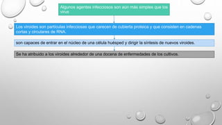 Algunos agentes infecciosos son aún más simples que los 
virus 
Los viroides son partículas infecciosas que carecen de cubierta proteica y que consisten en cadenas 
cortas y circulares de RNA. 
son capaces de entrar en el núcleo de una célula huésped y dirigir la síntesis de nuevos viroides. 
Se ha atribuido a los viroides alrededor de una docena de enfermedades de los cultivos. 
 