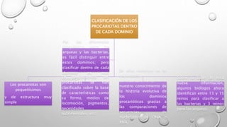 CLASIFICACIÓN DE LOS 
PROCARIOTAS DENTRO 
DE CADA DOMINIO 
Los procariotas son 
pequeñísimos 
y de estructura muy 
simple 
En consecuencia, los 
procariotas se han 
clasificado sobre la base 
de características como 
su forma, medios de 
locomoción, pigmentos, 
necesidades 
nutrimentales, etc. 
En años recientes se ha 
expandido 
considerablemente 
nuestro conocimiento de 
la historia evolutiva de 
los dominios 
procarióticos gracias a 
las comparaciones de 
secuencias de 
nucleótidos de DNA o 
RNA. 
Sobre la base de esta 
nueva información, 
algunos biólogos ahora 
identifican entre 13 y 15 
reinos para clasificar a 
las bacterias y 3 reinos 
para las arqueas. 
Por las diferencias 
bioquímicas entre las 
arqueas y las bacterias, 
es fácil distinguir entre 
estos dominios; pero 
clasificar dentro de cada 
dominio es muy 
complejo. 
 