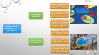 SOBREVIVENCIA Y 
REPRODUCCIÓN DE LOS 
PROCARIOTAS 
Endosporas 
Protectoras 
En condiciones ambientales 
inhóspitas, muchas bacterias 
con forma de bastón forman 
estructuras protectoras 
llamadas endosporas. 
Una endospora se forma dentro 
de la bacteria y contiene 
material genético y unas 
cuantas enzimas encerradas 
dentro de una gruesa capa 
protectora. 
En el ejemplo más extremo de 
longevidad, unos científicos 
descubrieron recientemente 
esporas bacterianas que habían 
permanecido encerradas en 
una roca durante 250 millones 
de años 
Especialización en 
Hábitat Específicos 
Los procariotas ocupan 
prácticamente todos los 
hábitat, incluso aquellos donde 
las condiciones extremas 
impiden que sobrevivan otras 
formas de vida. 
Incluso las condiciones 
químicas extremas no 
consiguen impedir la invasión 
de procariotas. 
Las bacterias que viven en el 
cuerpo humanotambién están 
especializadas, de manera que 
son diferentes entre sí las 
especies que colonizan la piel, 
la boca, el tracto espiratorio, el 
intestino grueso y el tracto 
urogenital. 
 